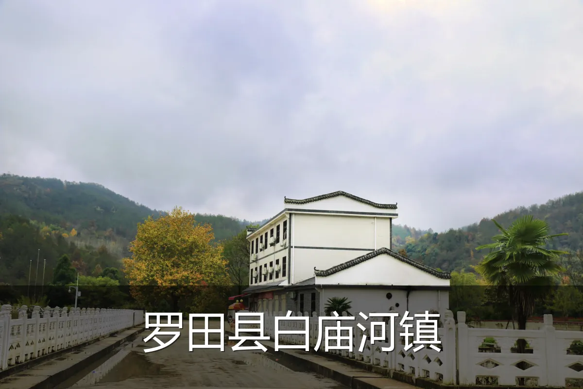 罗田县白庙河镇