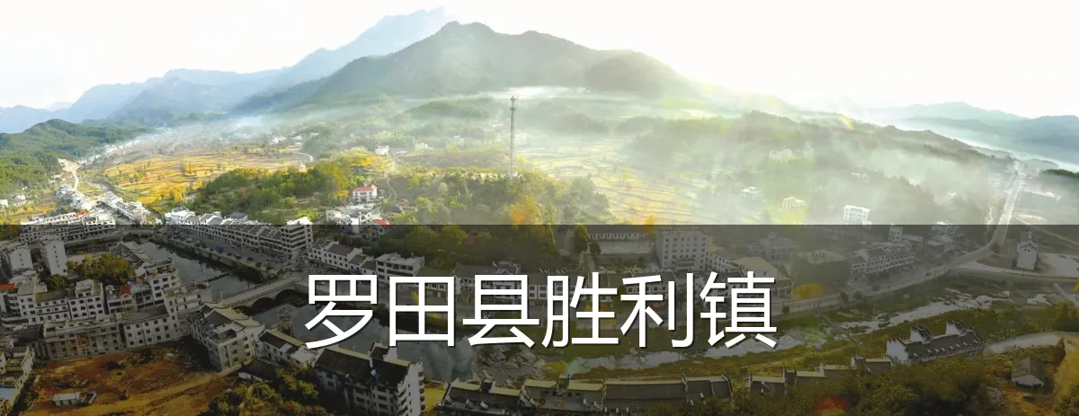 罗田县胜利镇